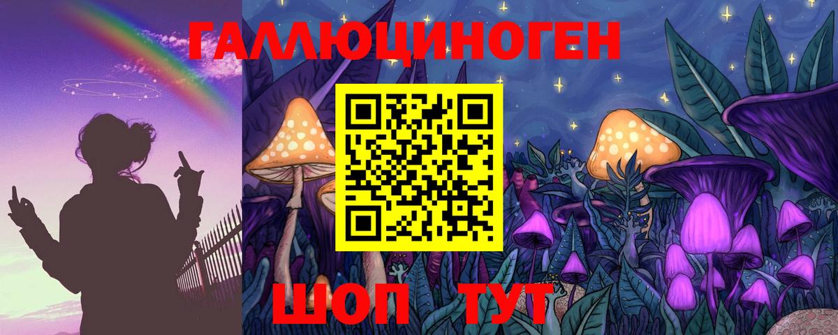 Псилоцибиновые грибы GOLDEN TEACHER  Вход с VPN  Химки  Псилоцибиновые грибы мицелий 